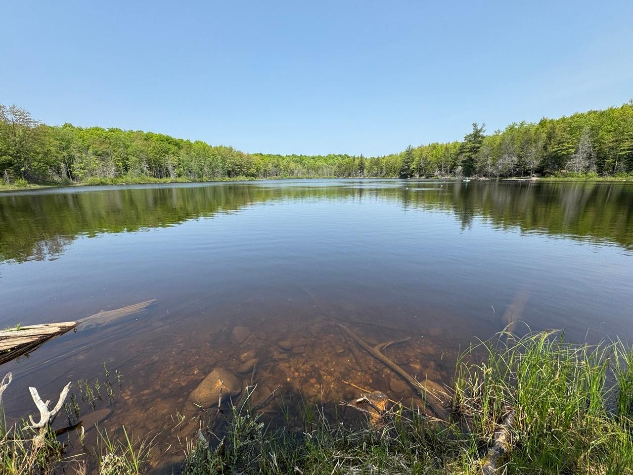 Property Photo: 8677N Davis Rd WI 54534