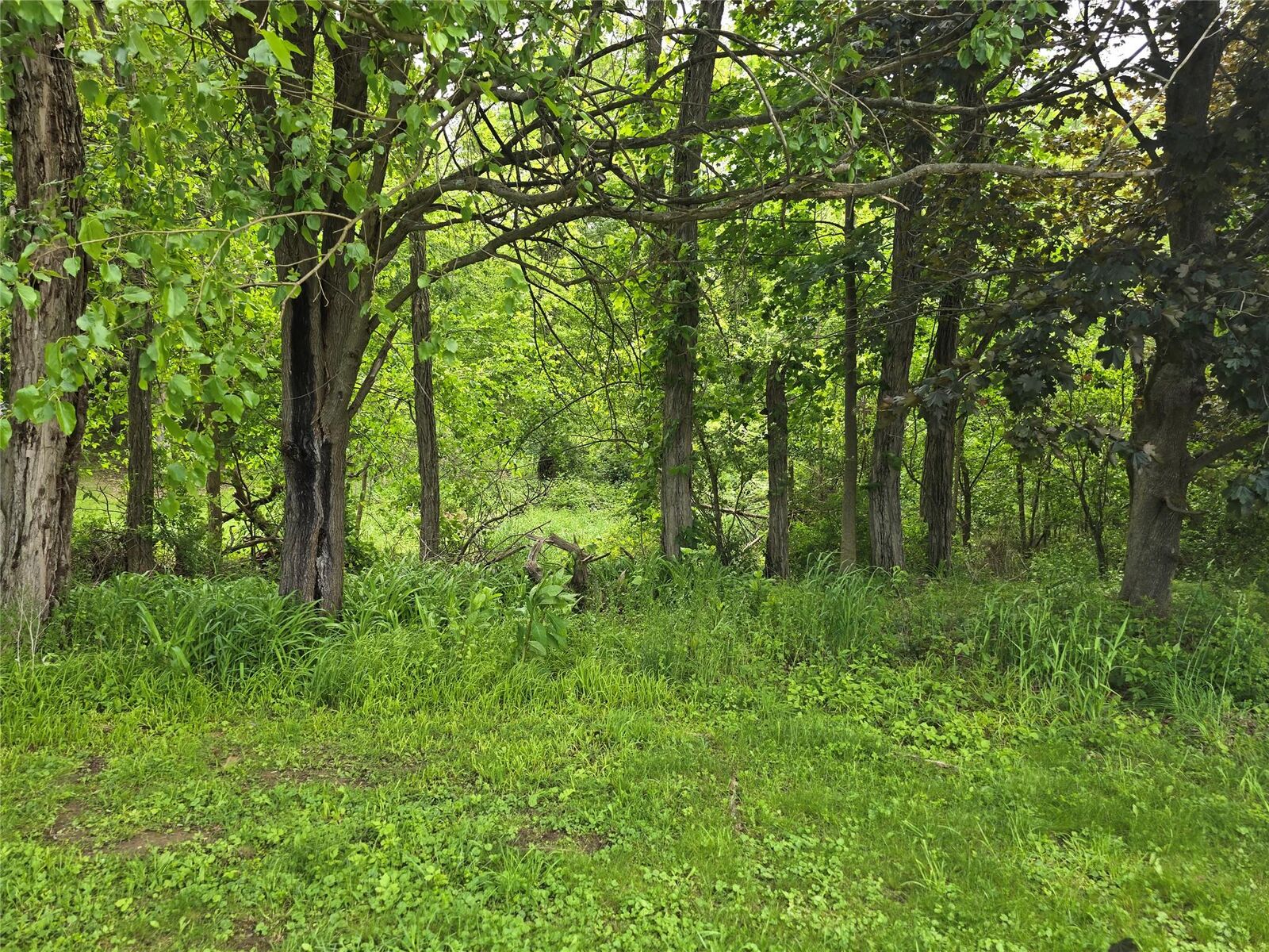 Property Photo:  Quaker Street  NY 12589
