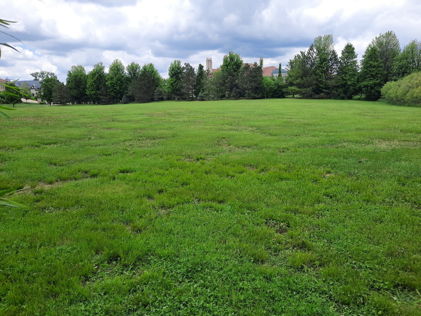 Property Photo: 6 Blossom Court IL 60010