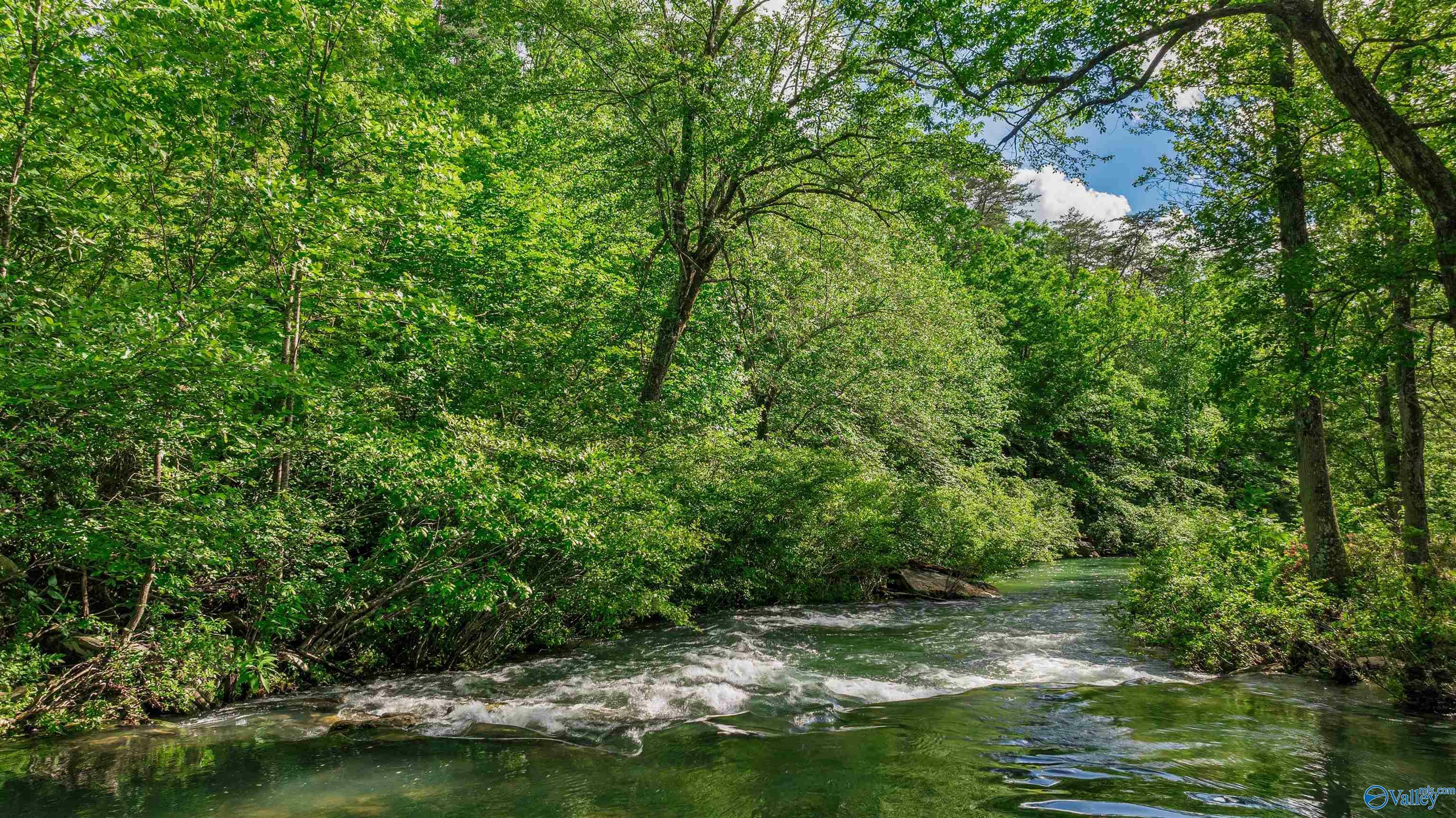 Property Photo: 1224 Alabama Highway 117 AL 35984