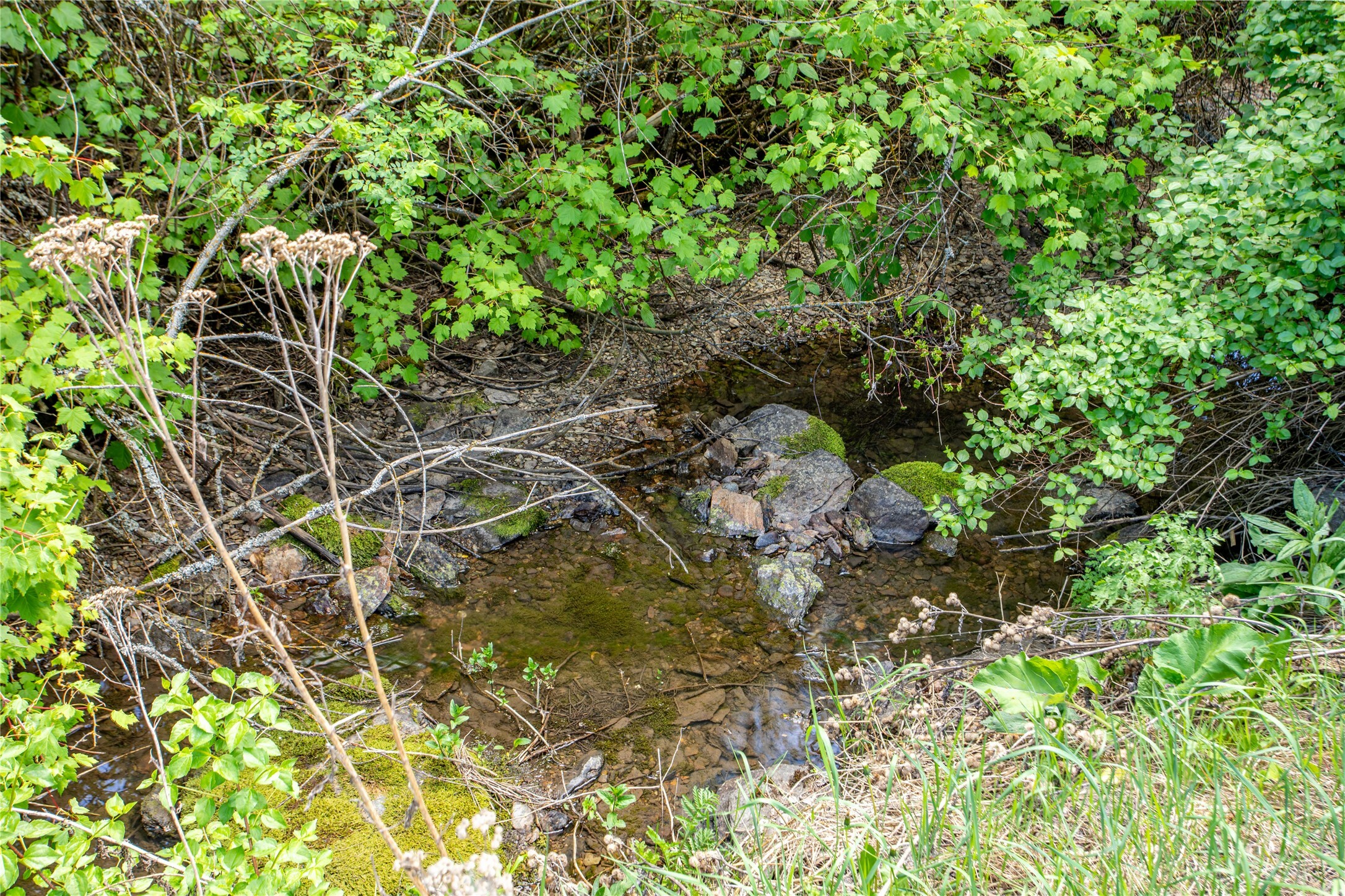Property Photo: 15405 US Highway 93 N MT 59808