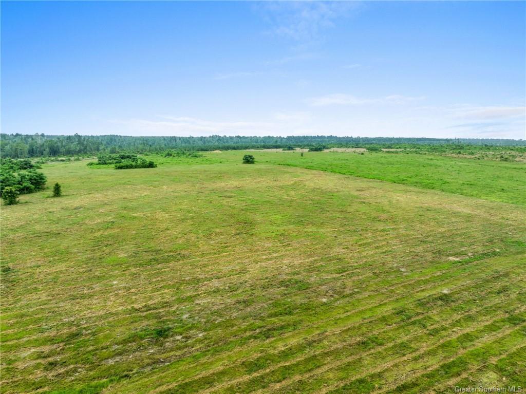 Whittington Road Tract 2  Longville LA 70652 photo