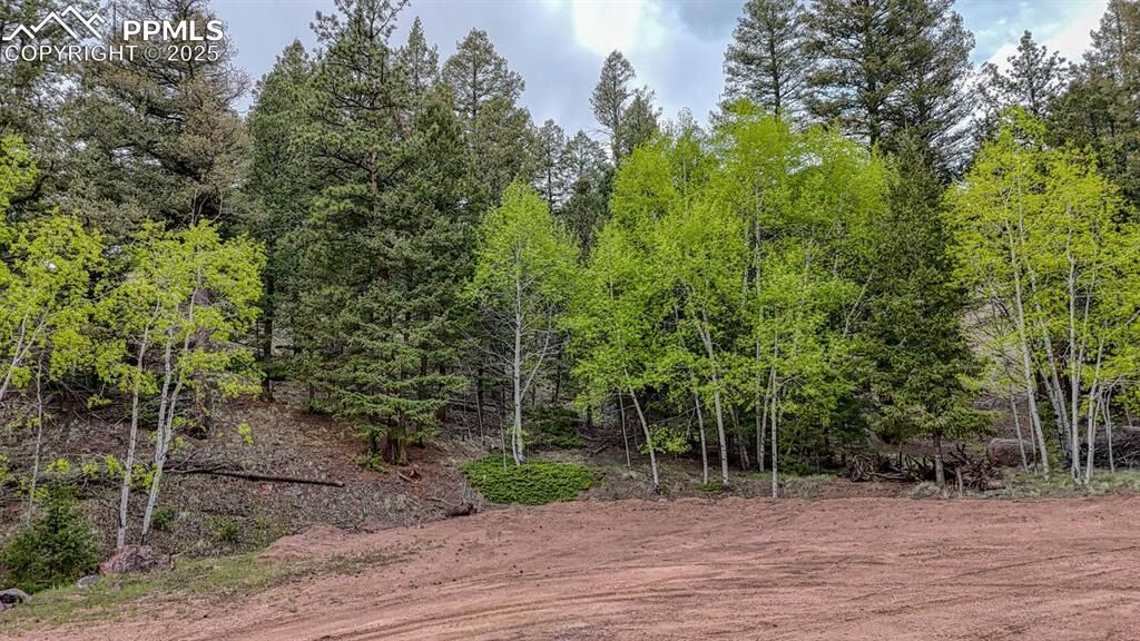 Property Photo:  918 Pinion Lane  CO 80813 