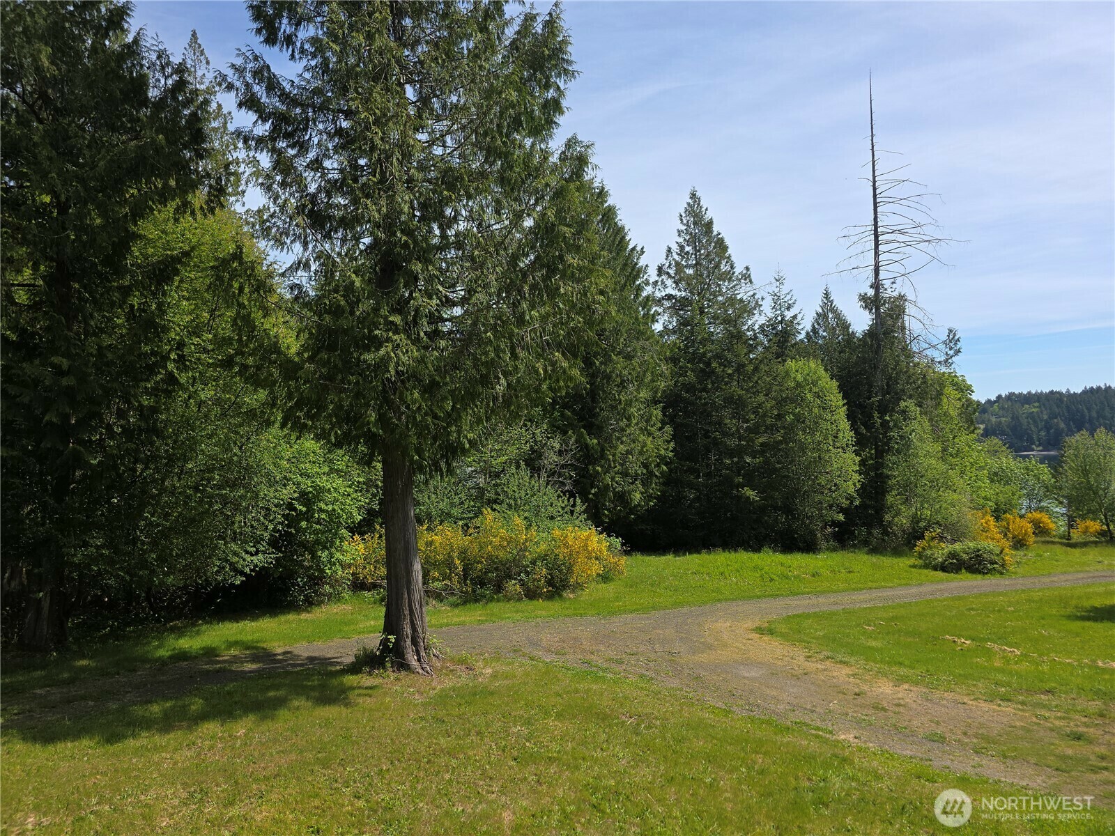 Property Photo: 142 E Strong Road WA 98584
