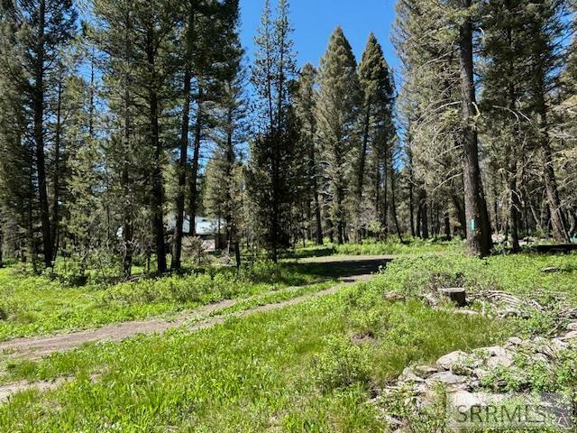 Property Photo: 3521 Pine Cone Drive 3521 ID 83420