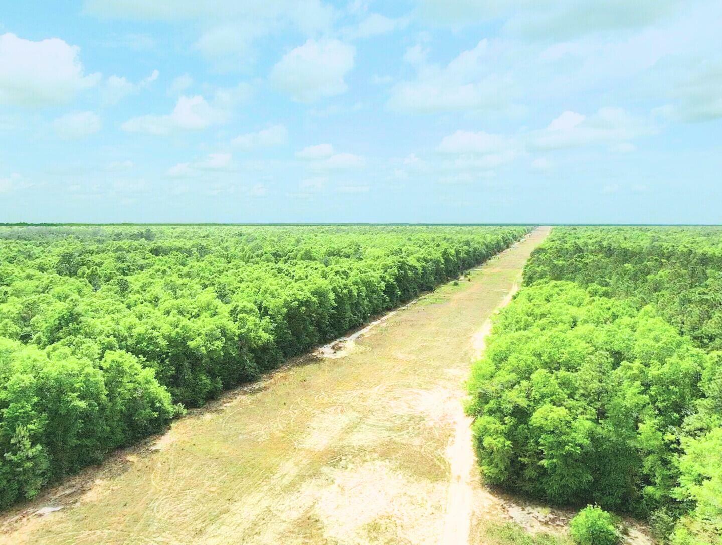 Property Photo: 7.97 Acres Lake Ella Rd Road FL 32539