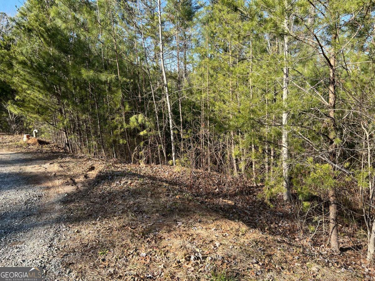 Property Photo: Lot 1855 Hunter Drive 1855 GA 30175
