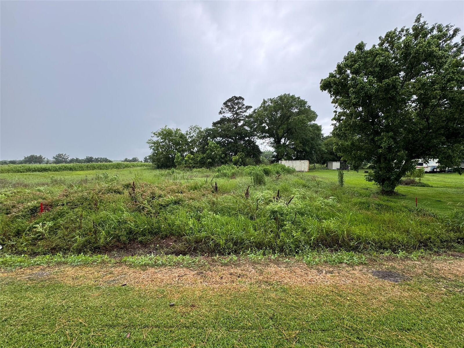 Property Photo: 0 County Road 119 TX 77575