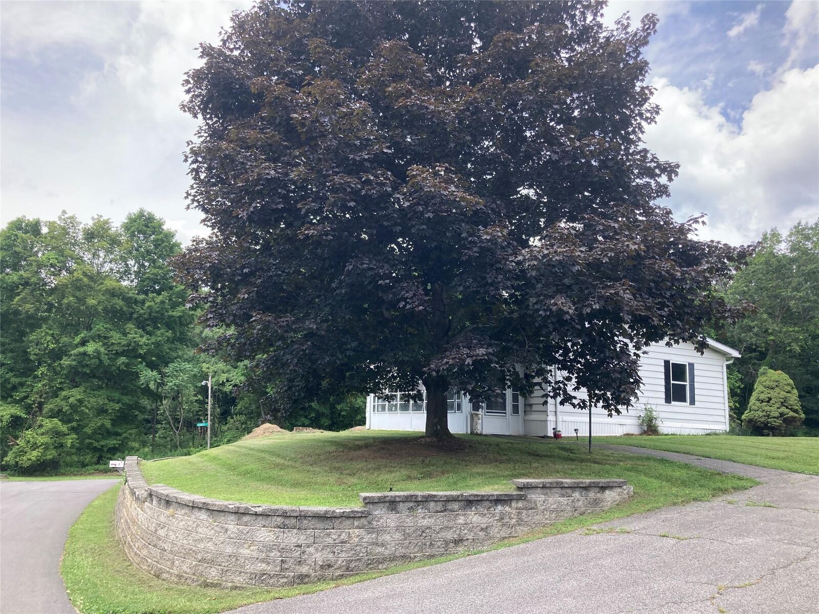 Property Photo: 1 Orchid NY 12561