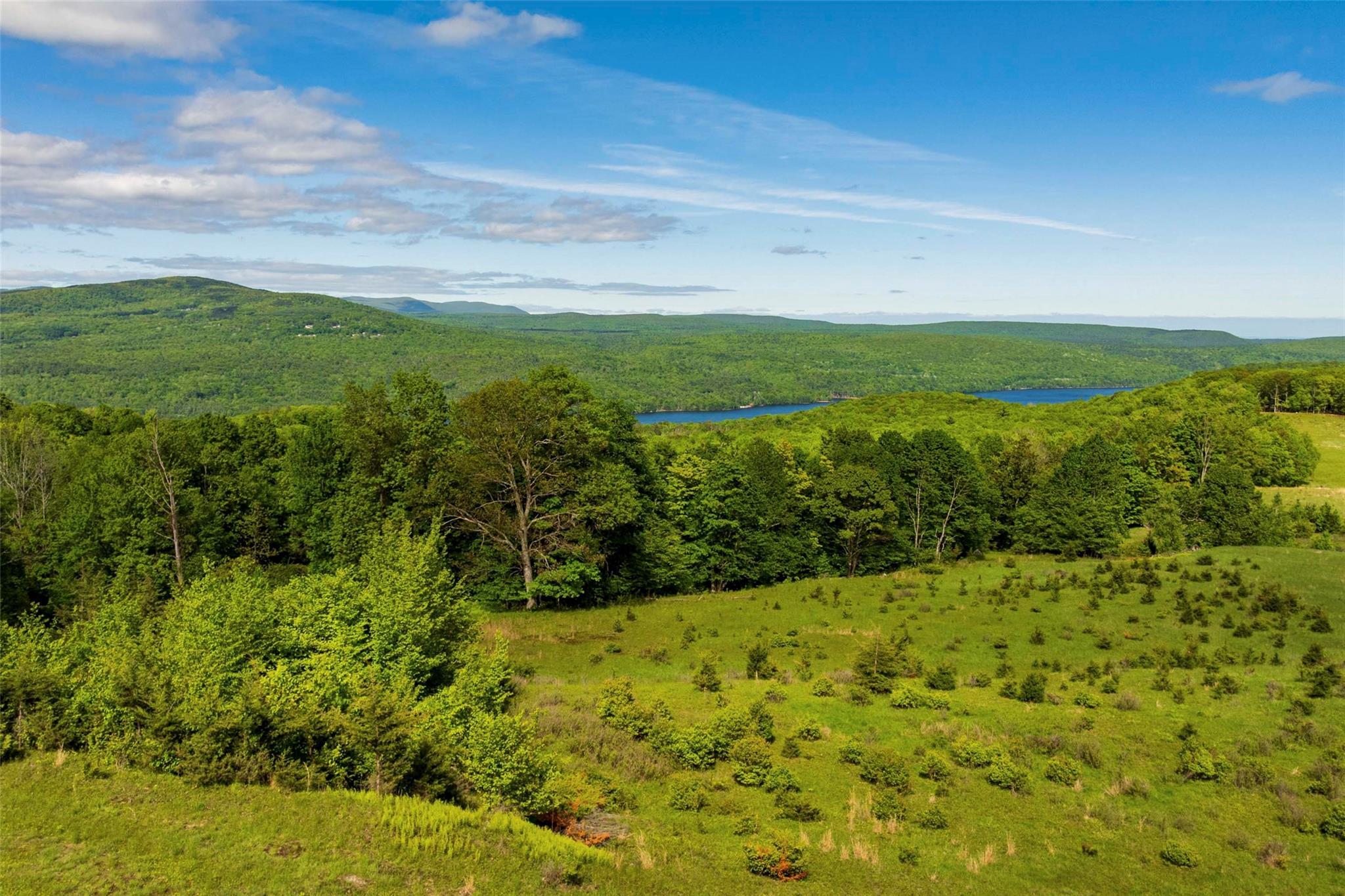 Property Photo:  19 Red Rock Road  NY 12489 