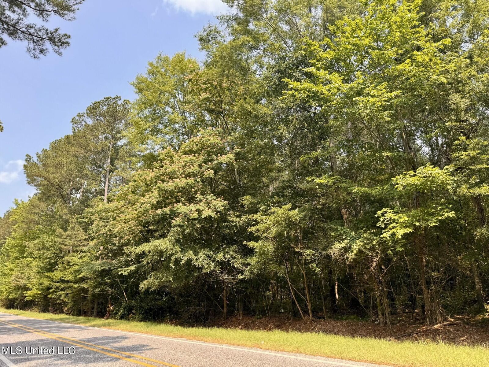 Property Photo:  Hwy 43  MS 39045 
