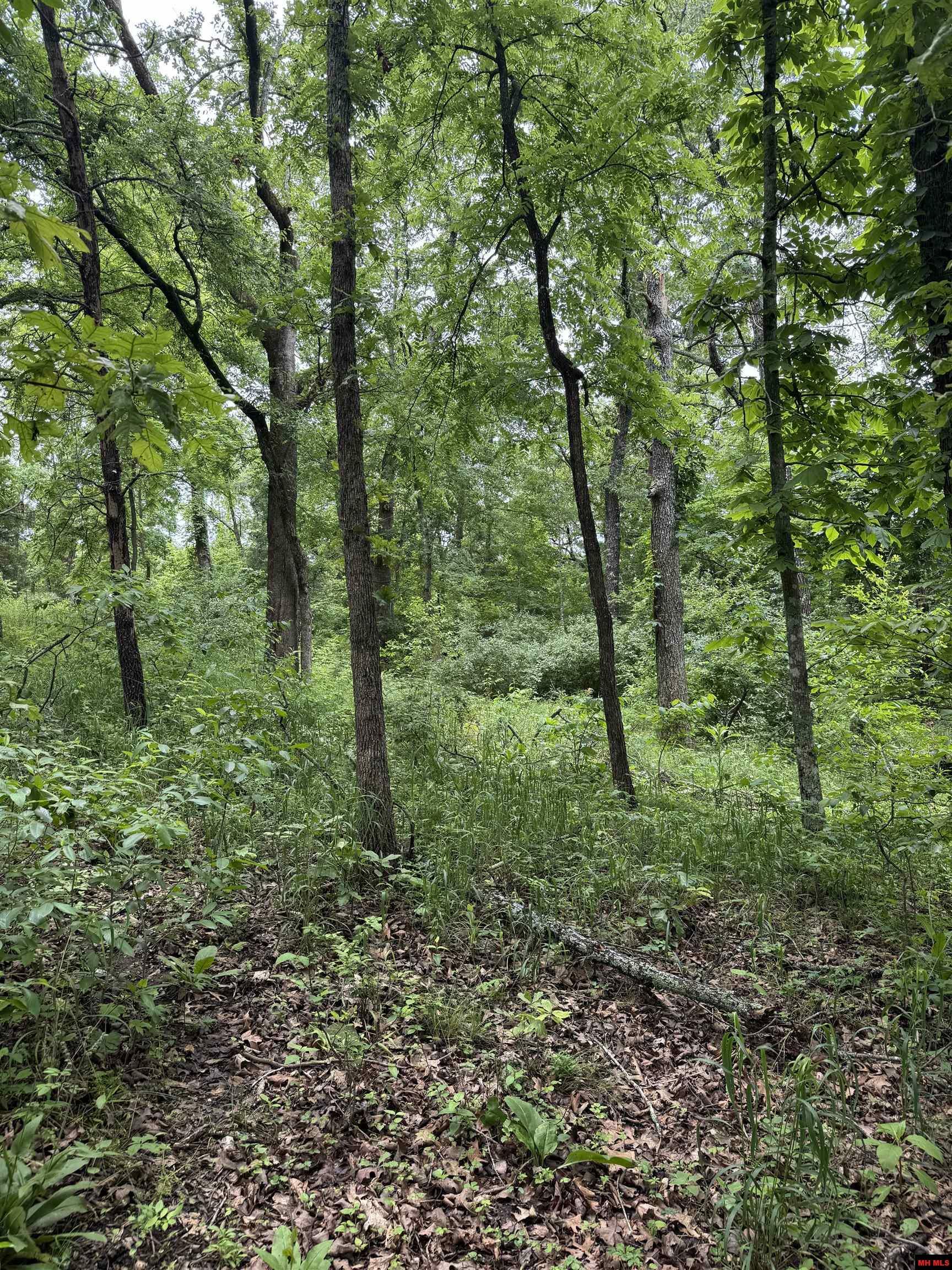 002-05103-056 Savannah Place  Mountain Home AR 72653 photo