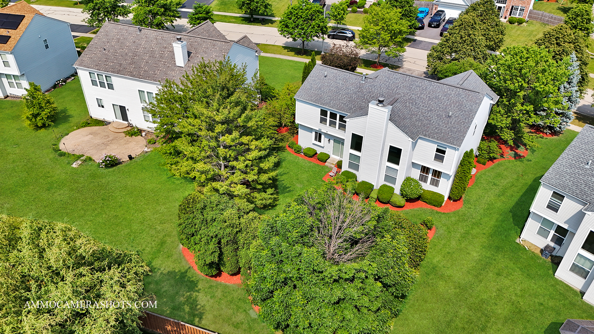 Property Photo:  351 Tiger Street  IL 60490 