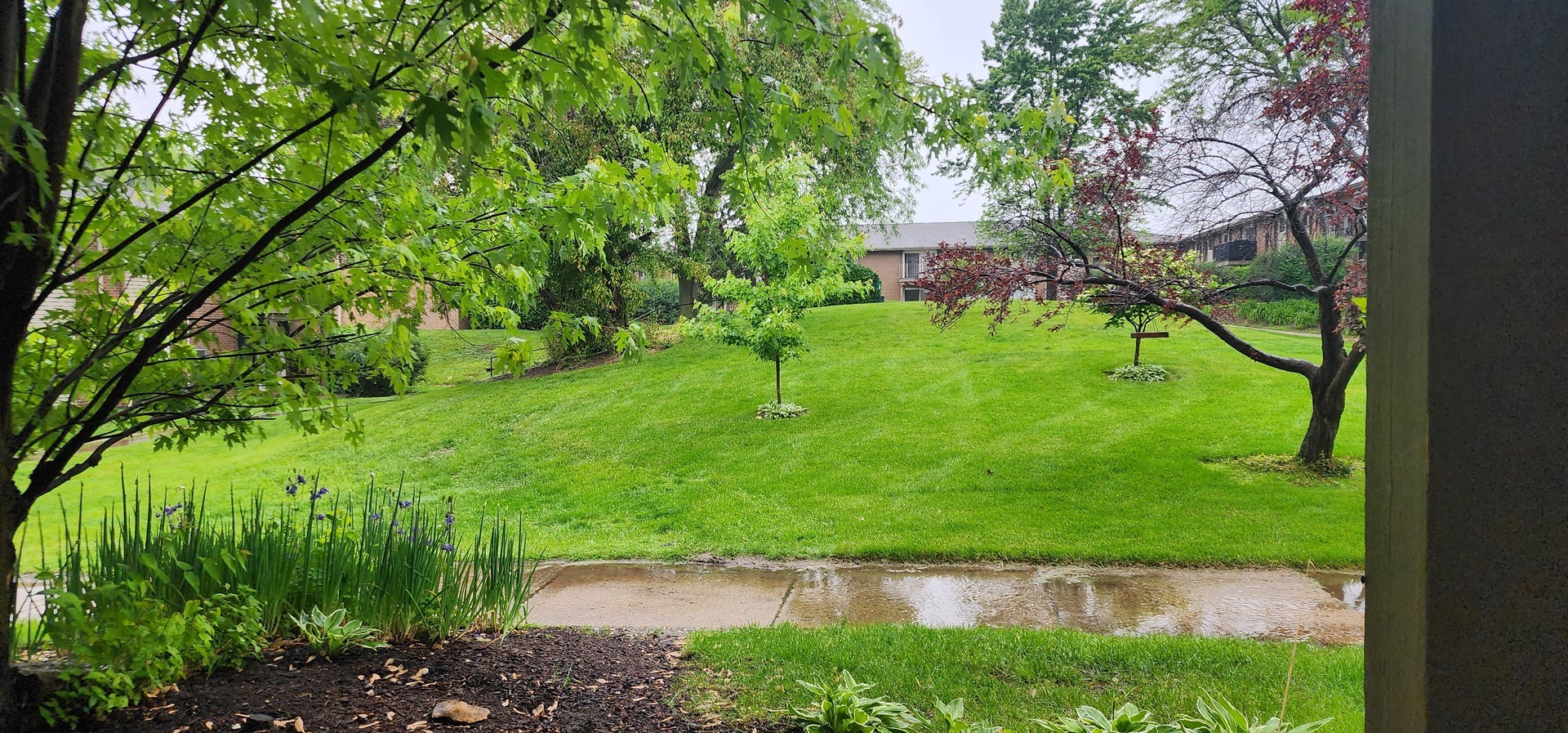 Property Photo: 2300 Beau Monde Lane 103 IL 60532