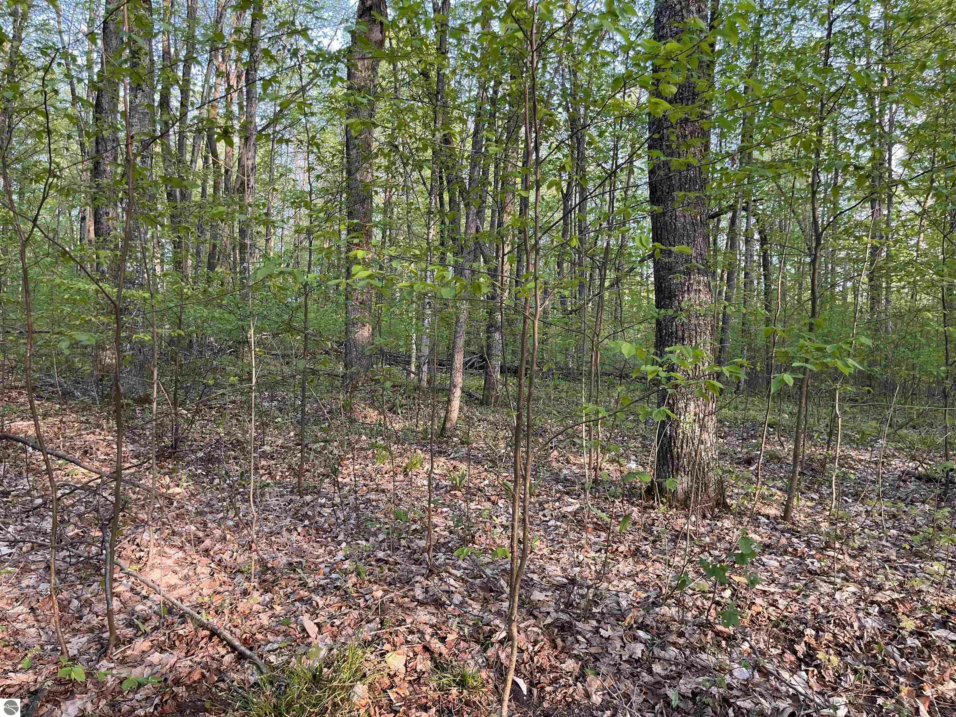 Property Photo: 000 Par-King Drive MI 49615