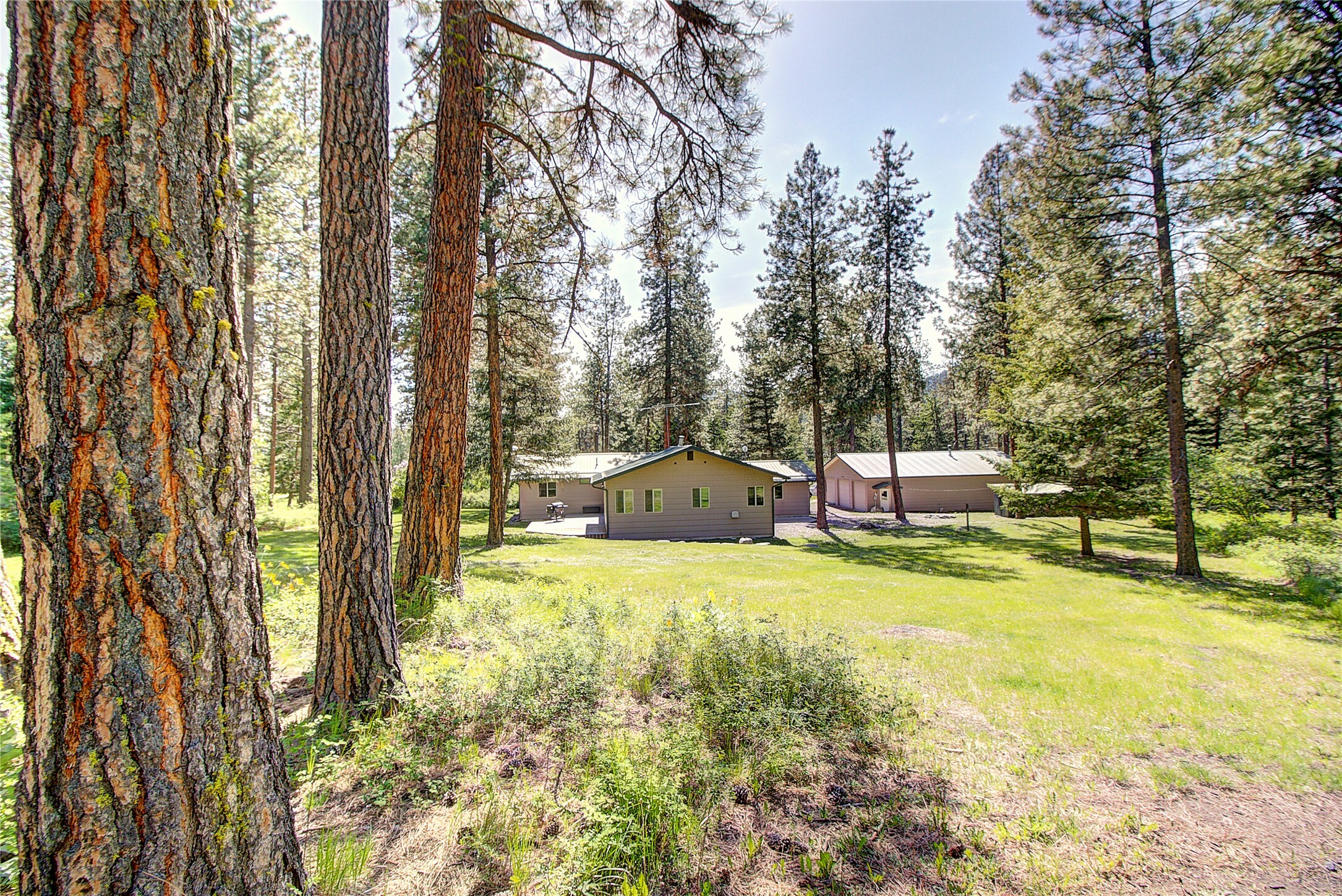 Property Photo: 30570 Great Pine Hill MT 59860