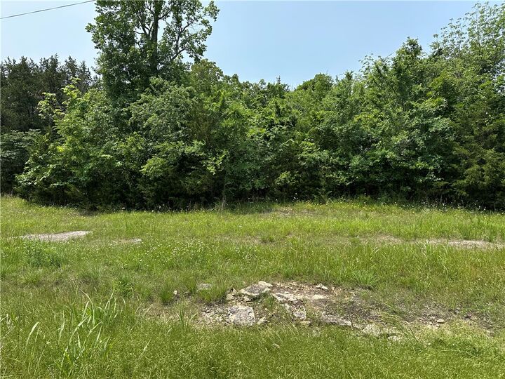Property Photo: 000 Somonauk Drive AR 72630