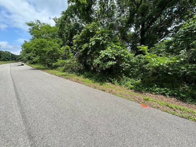 12 Cypress Point Lane  Holiday Island AR 72631 photo