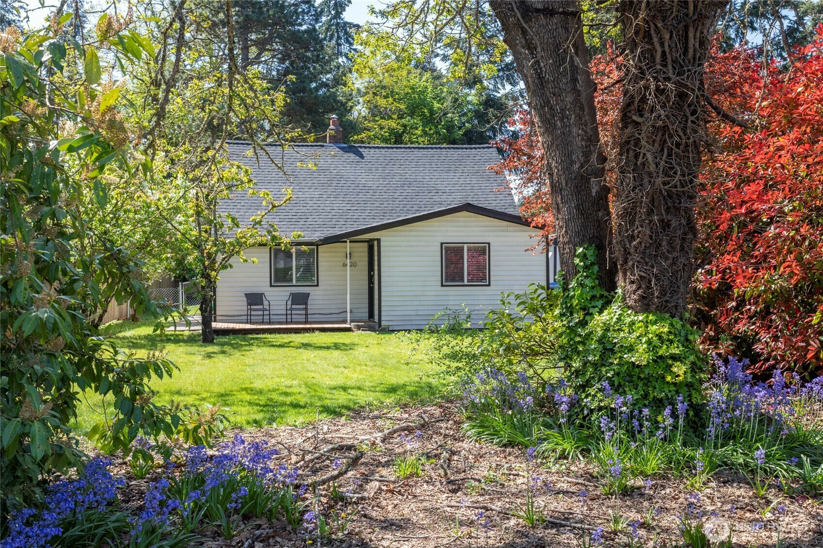 6420  Lake Grove Street SW  Lakewood WA 98499 photo