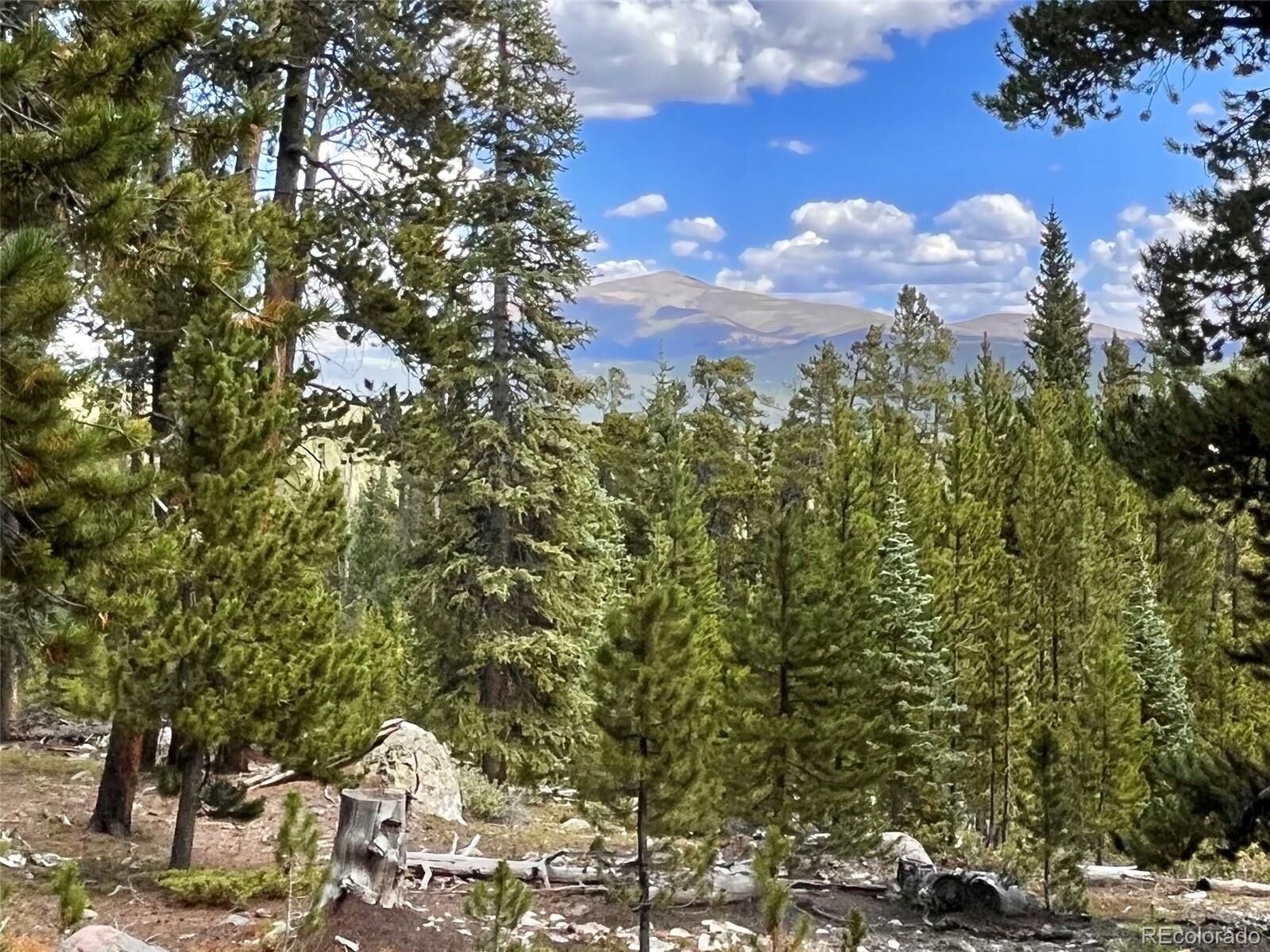 Property Photo: 676 Dry Gulch Road CO 80440