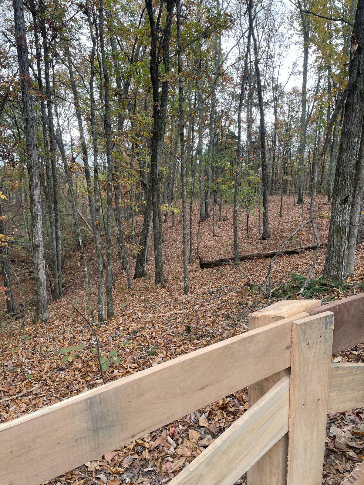Property Photo:  1132 Sneed Rd (Lot 2) Road  TN 37322 
