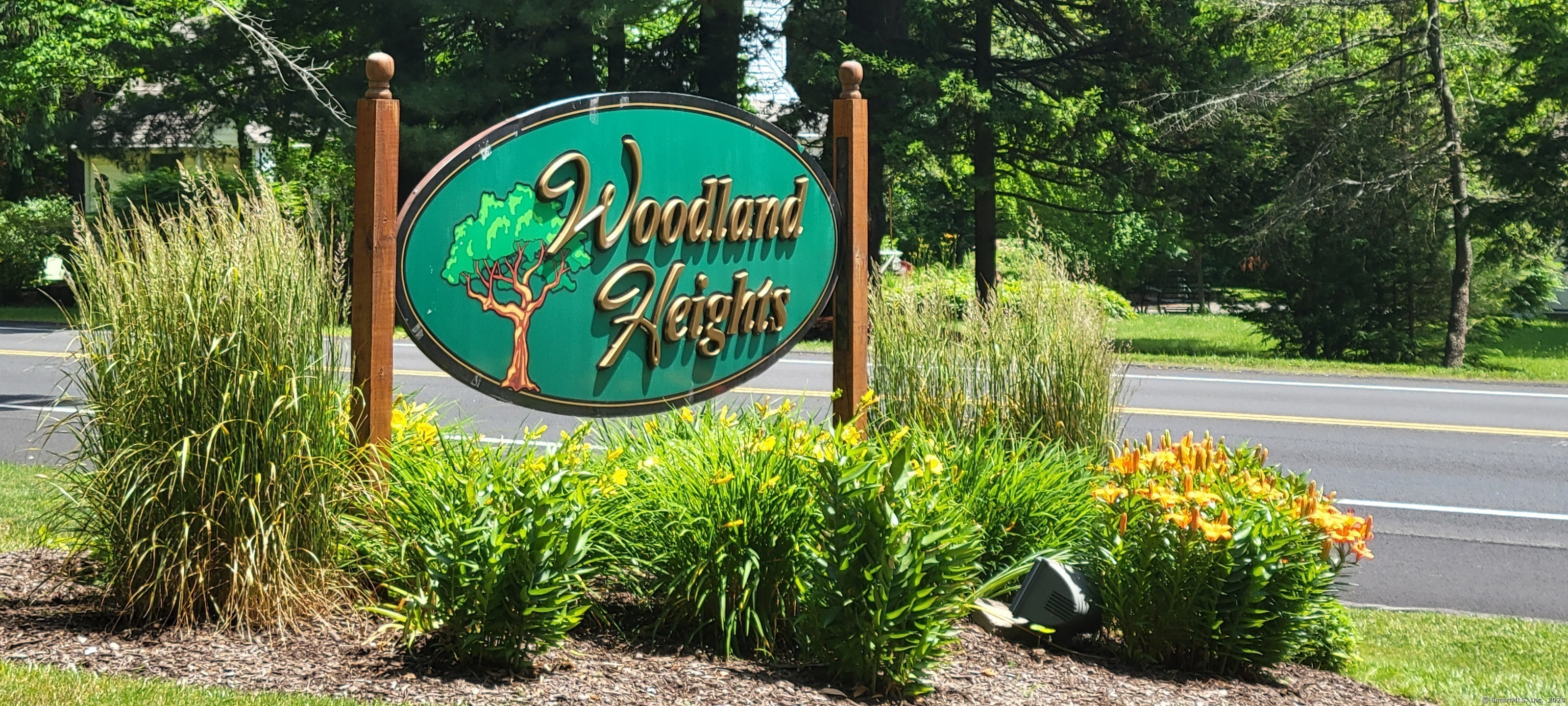Property Photo: 215 Woodland Drive 215 CT 06416