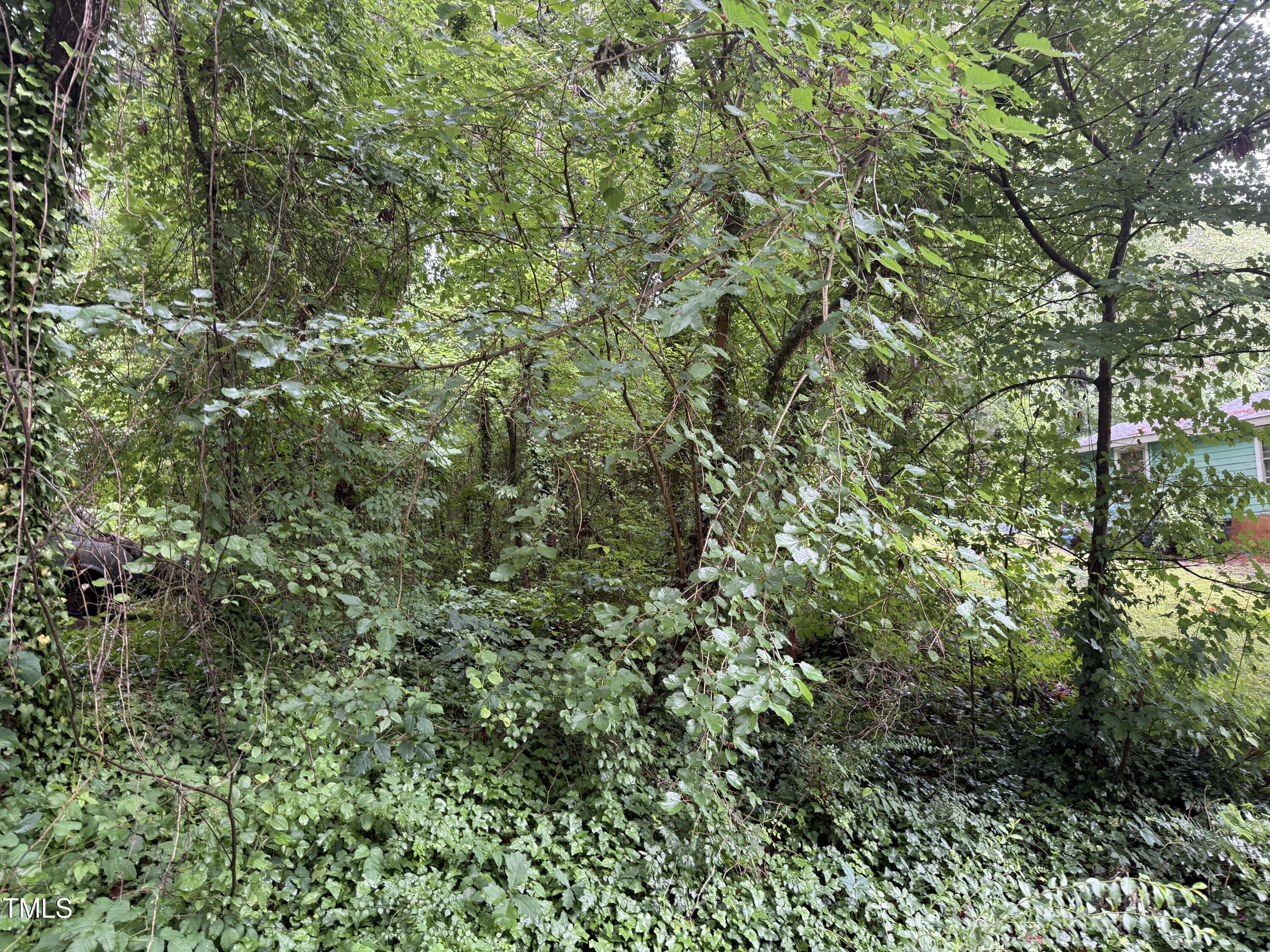 Property Photo: 00 Thomas Street NC 27536