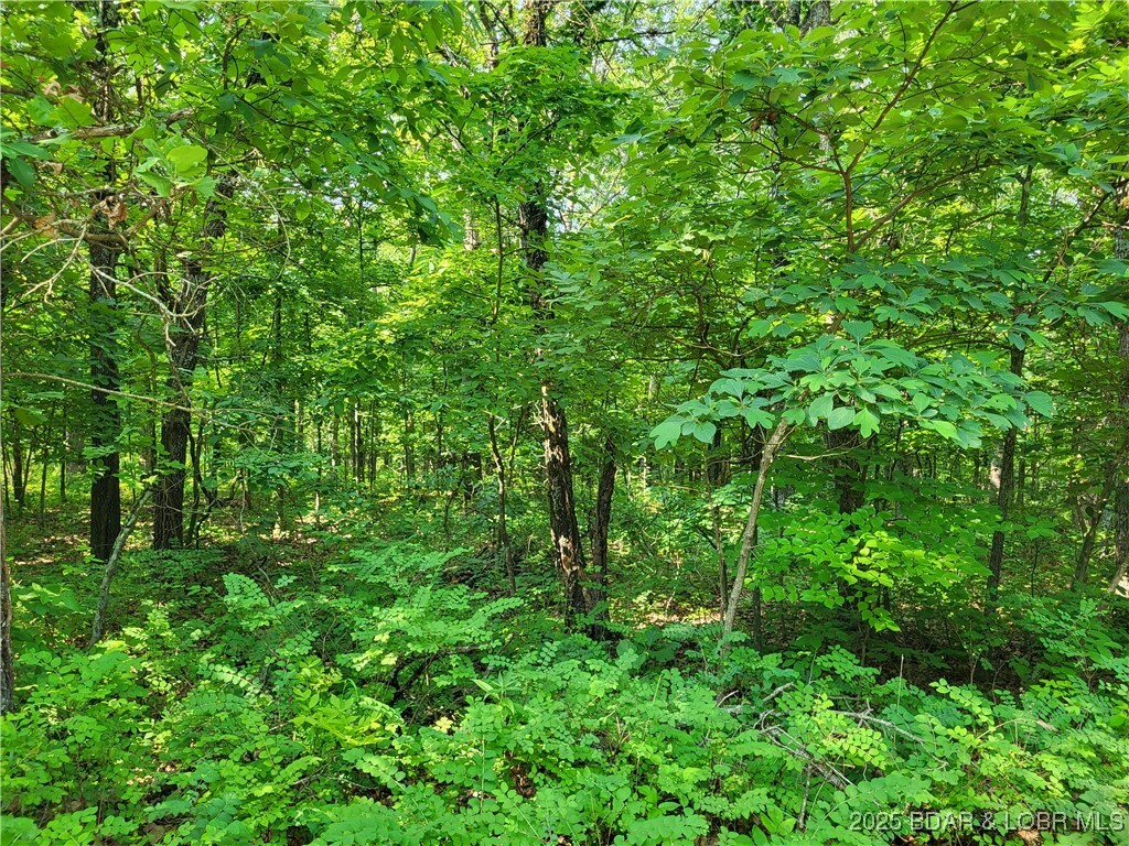 Property Photo: Kean Lane Lot 2371 MO 65326
