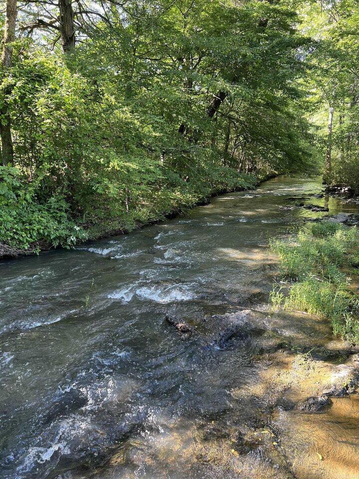 Property Photo: 130 Polk Road 627 AR 71953