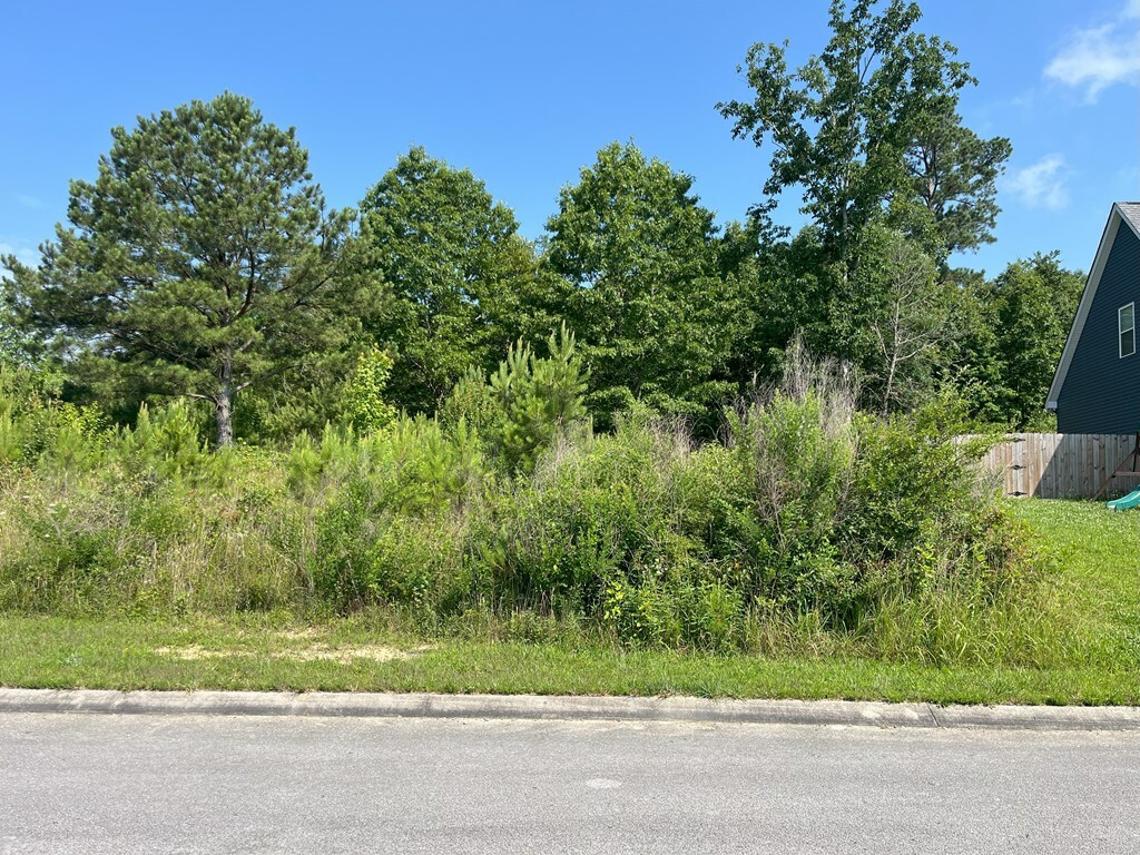 Property Photo: 0 Stonegate Place GA 30710