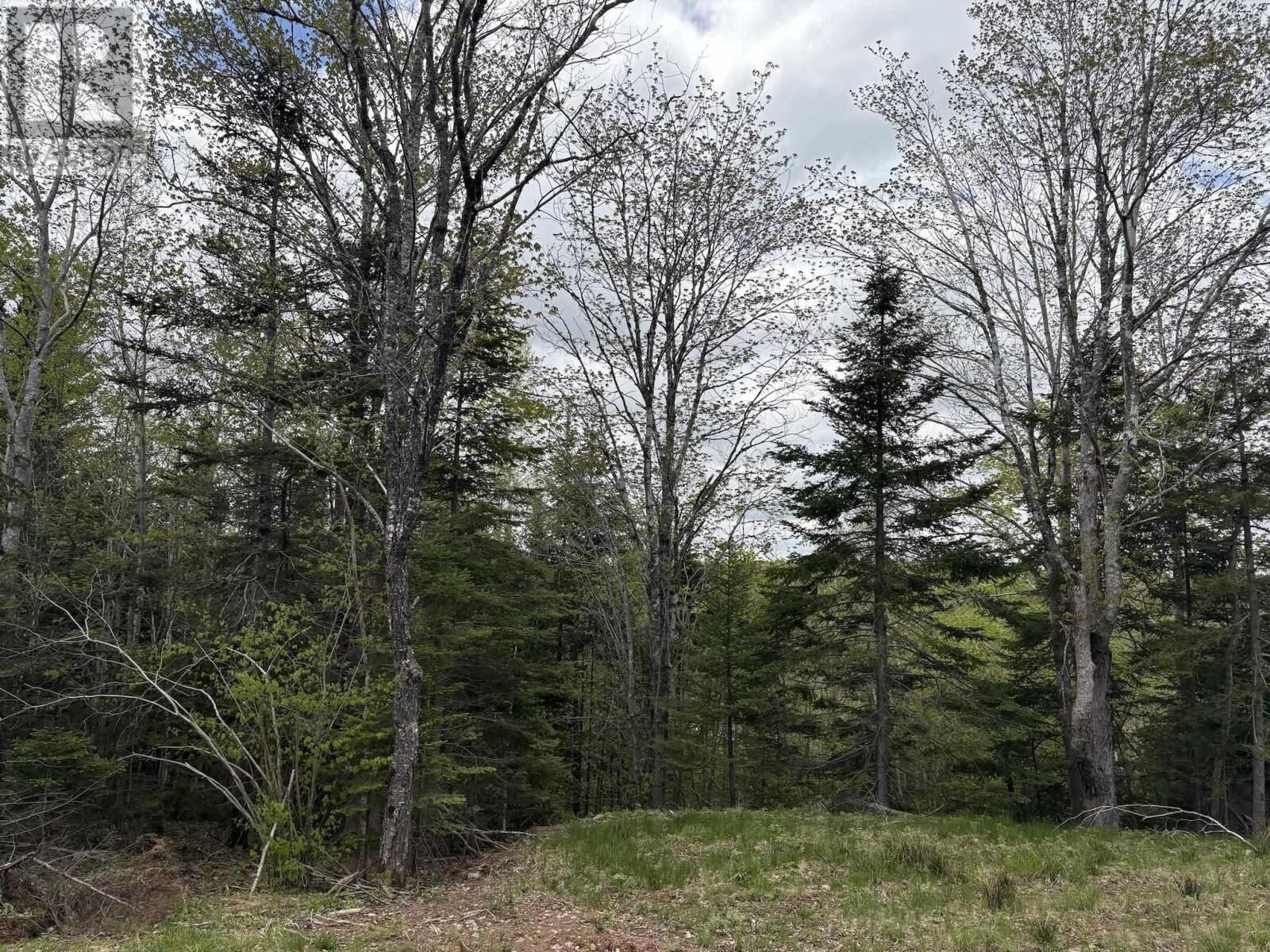 Property Photo:  Lot 4 Highway 14  NS B2S 2Z3 