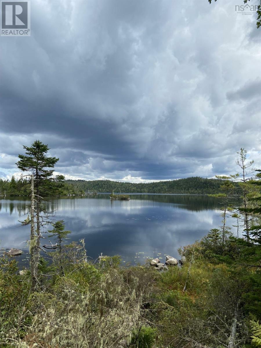 Property Photo:  Lot 8C Longbridge Lake  NS B0J 2L0 