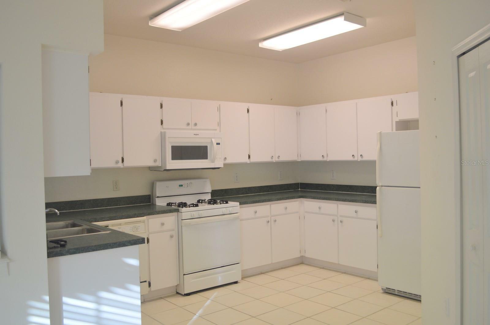 Property Photo: 1922 Sassafras Drive FL 33543