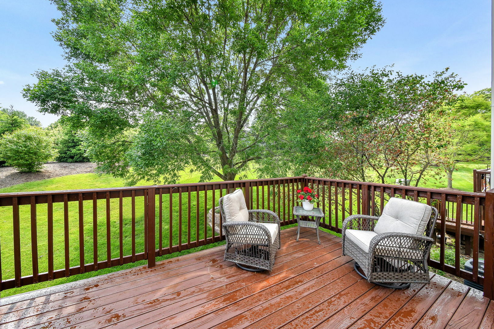 Property Photo: 164 River Mist Drive IL 60543