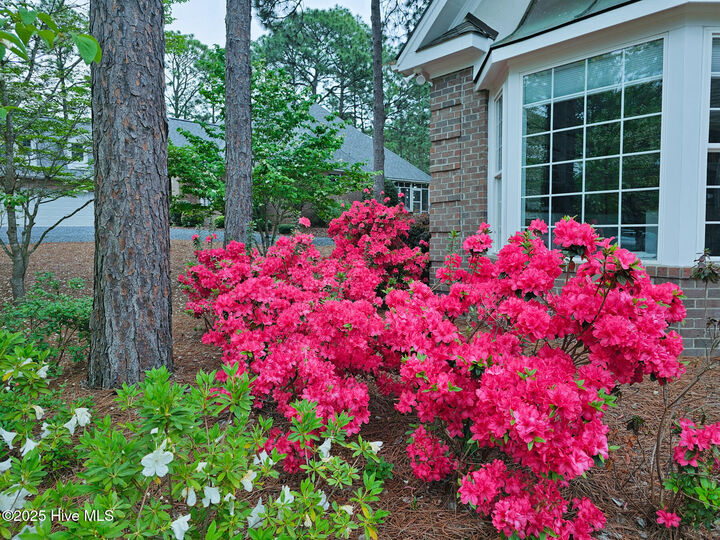 Property Photo: 24 McNish Road NC 28387