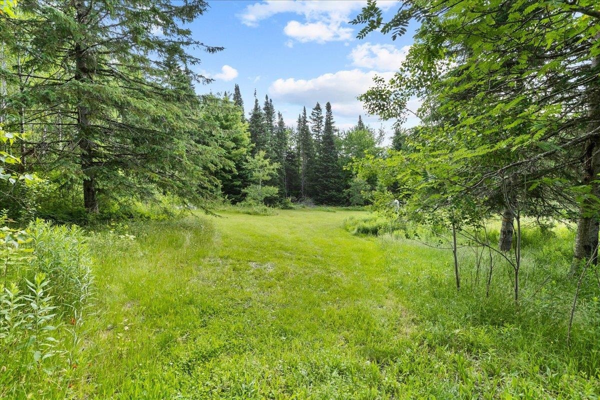 Property Photo:  52 Stewart Young Road  NH 03592 
