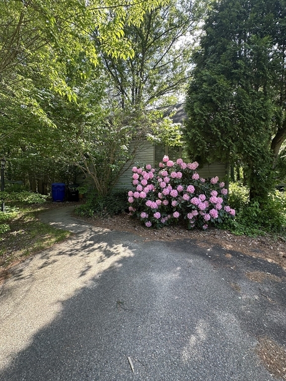 Property Photo:  47 Andrews Farm Road  MA 01921 