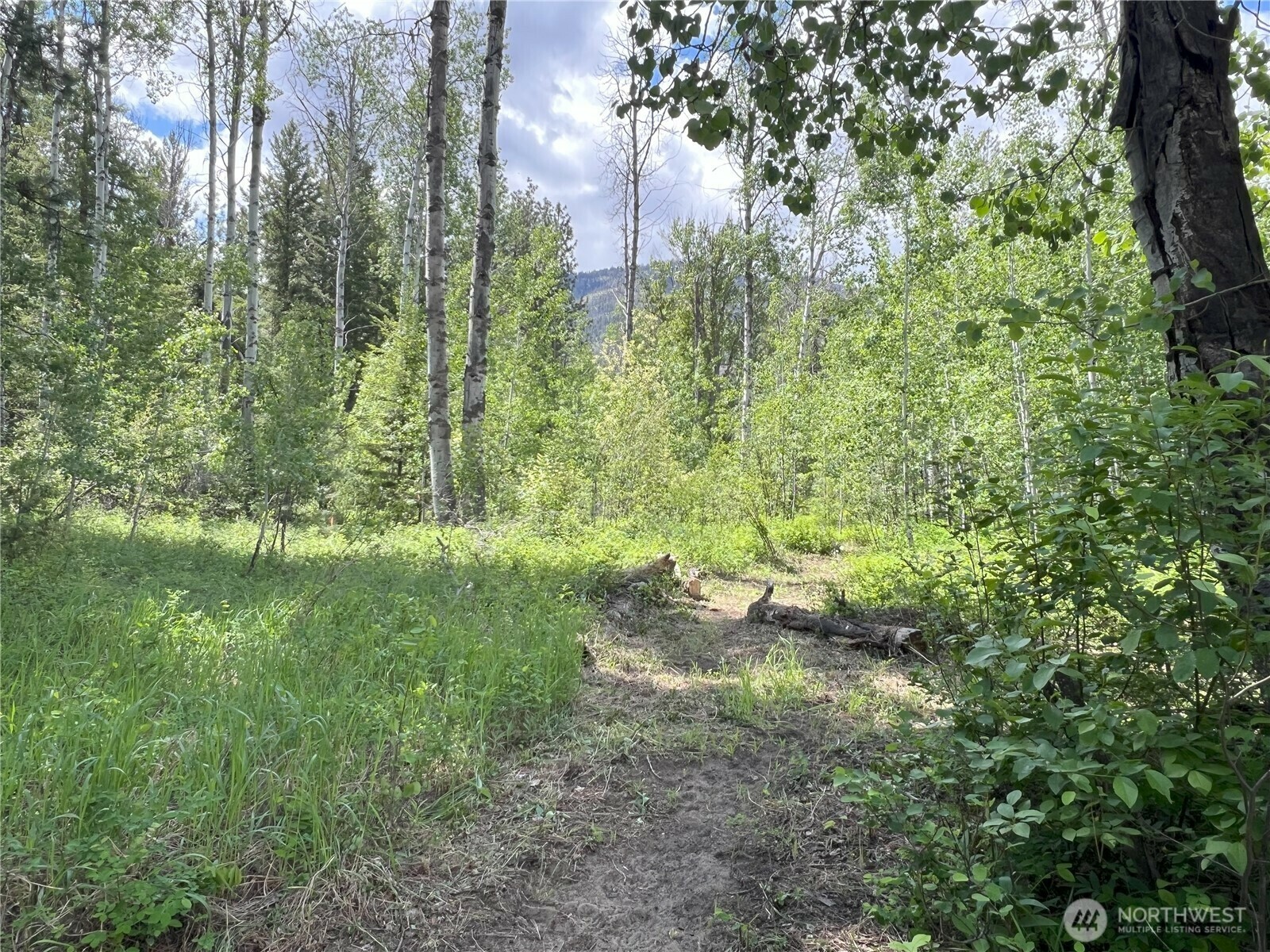 Property Photo: 6 Mazama Meadows Lane WA 98833