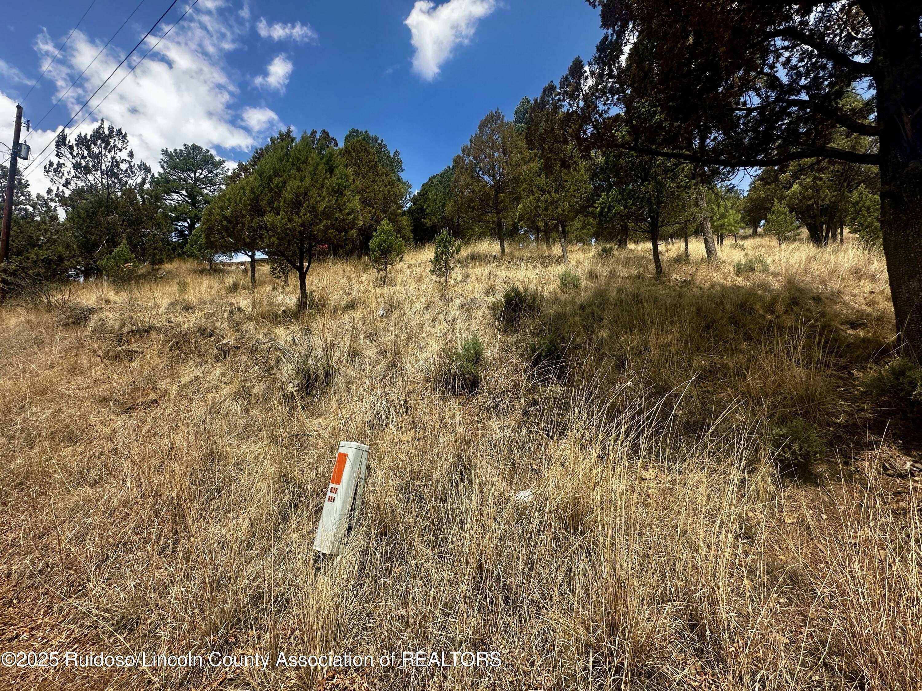 Property Photo: 200/202 W Redwood Drive NM 88345