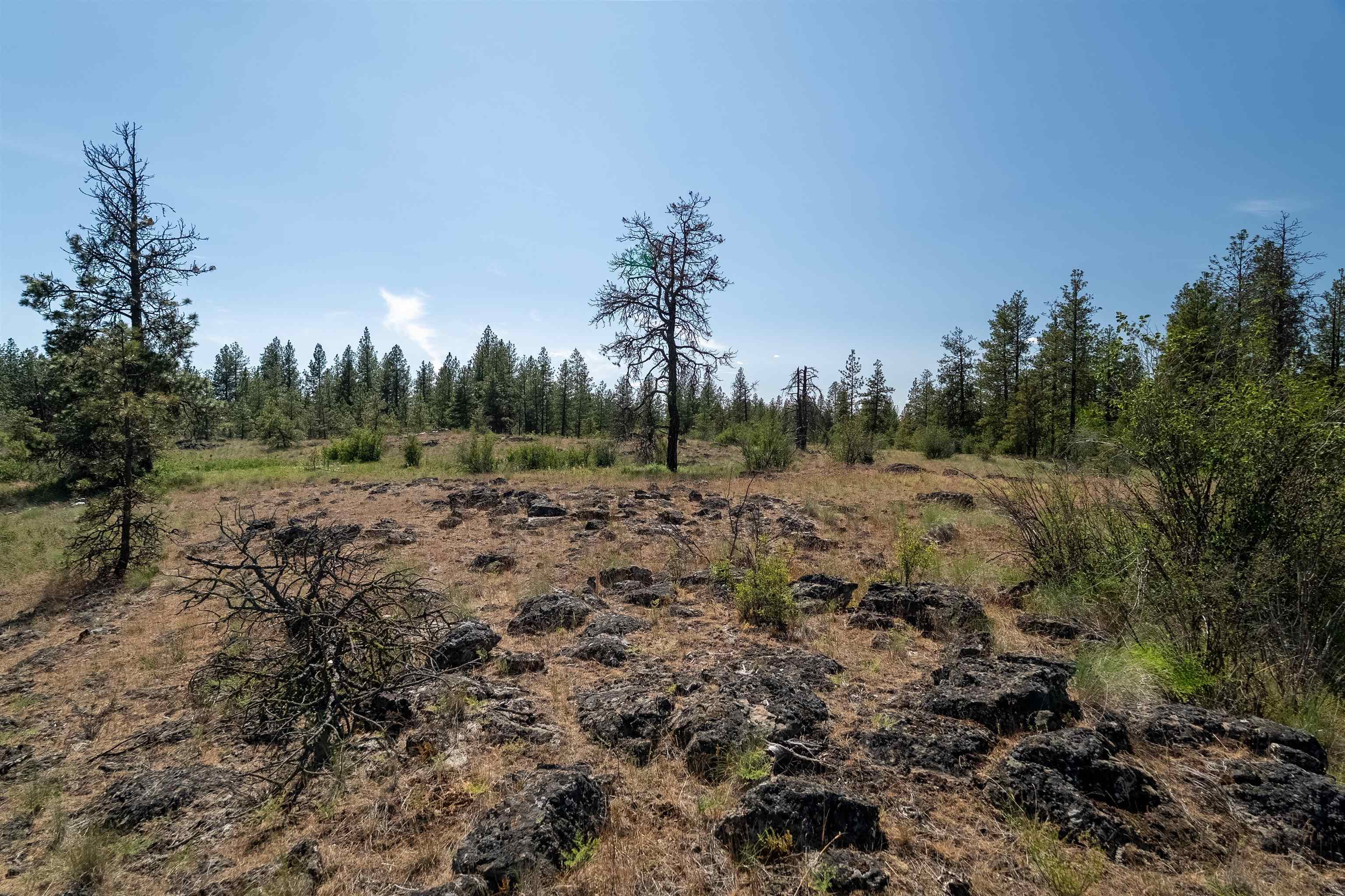 Property Photo: Nka W Anderson Rd WA 99004