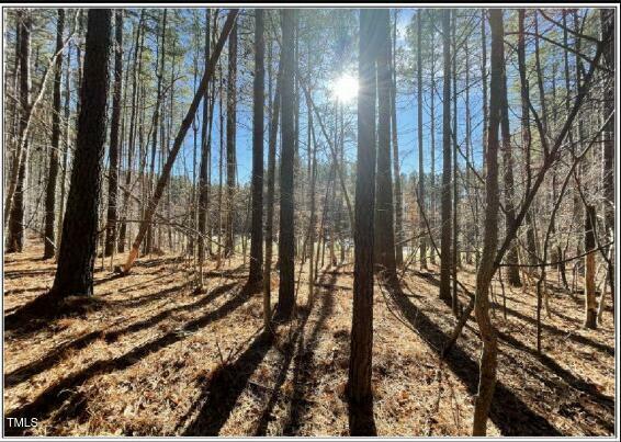 586 Anneliis Lane  Siler City NC 27344 photo