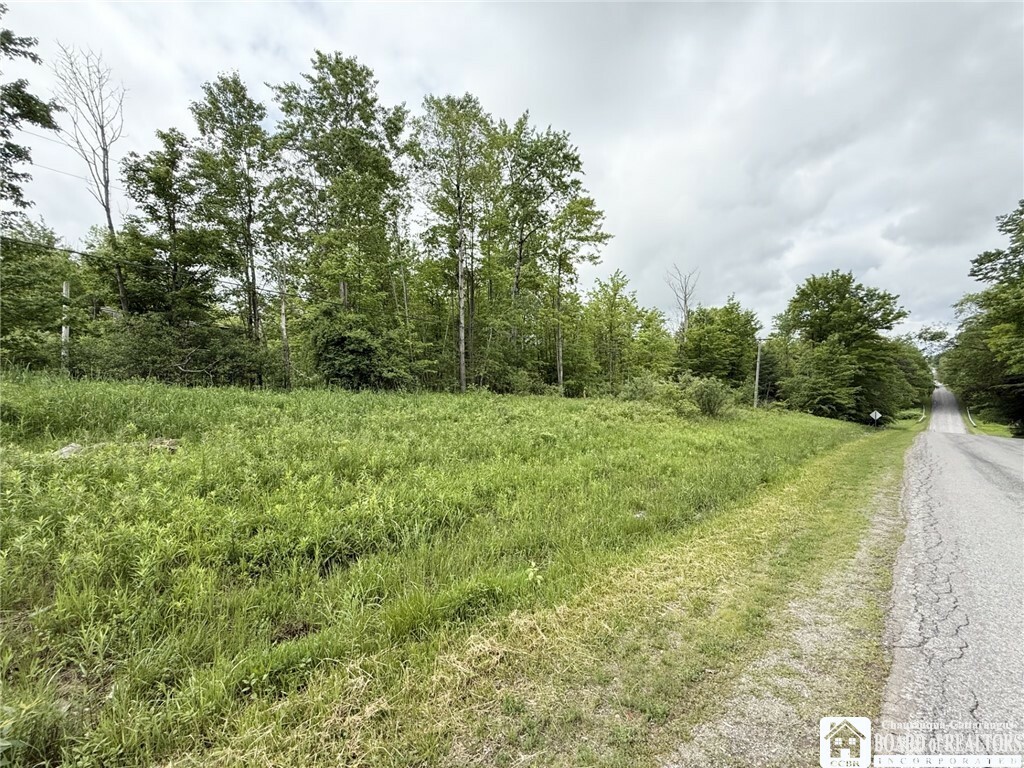 0 Luce Road  Bemus Point NY 14712 photo