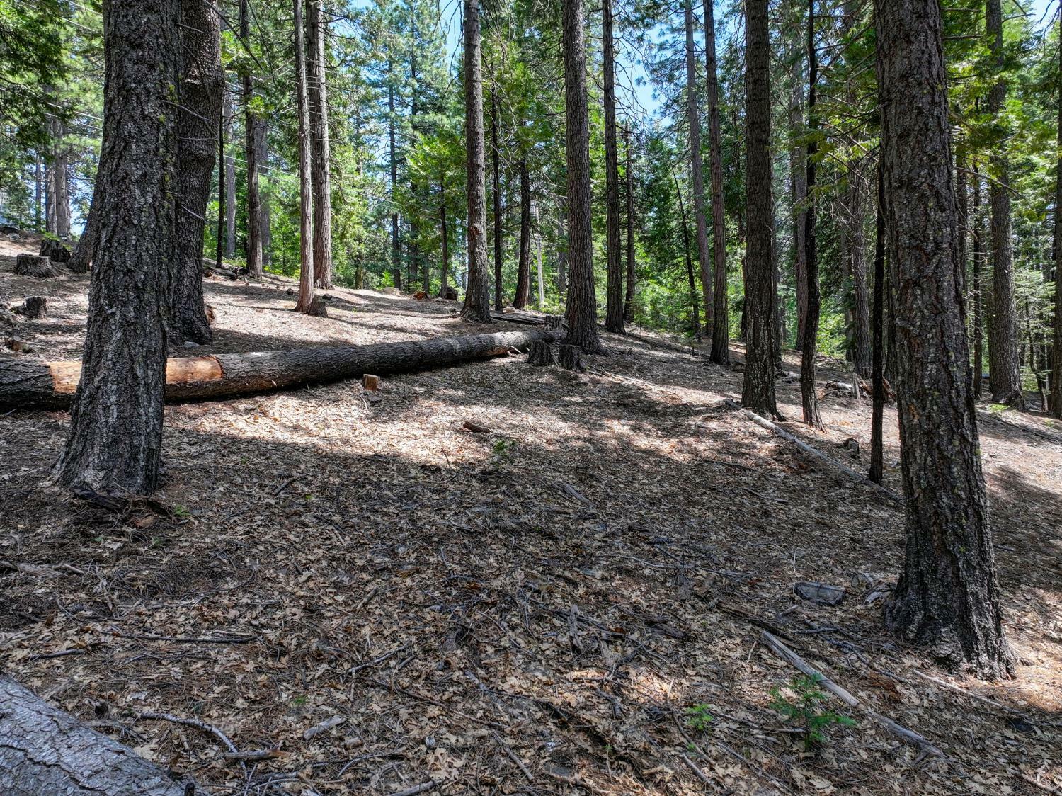Property Photo: 4741 Meko Drive CA 95223