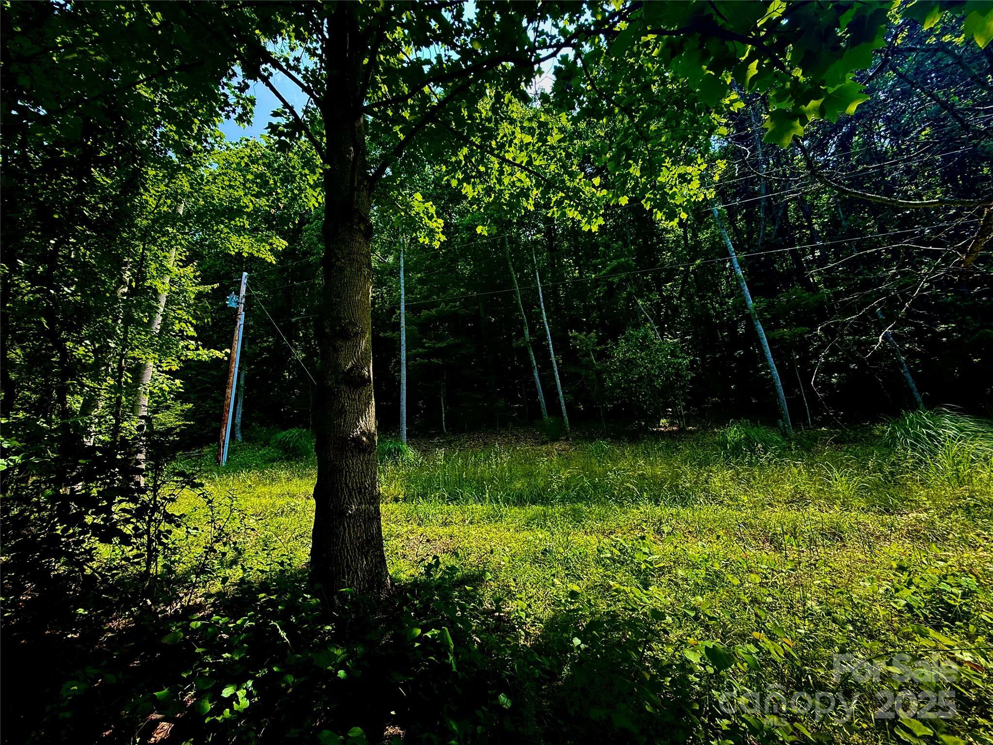 Property Photo: 700 Wooded Mountain Trail NC 28754