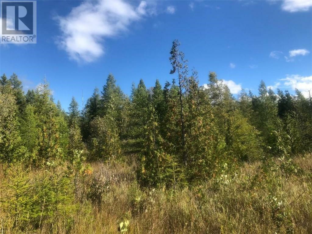 Photo de la propriété:  330 White'S Point Road  ON P0P 1K0 
