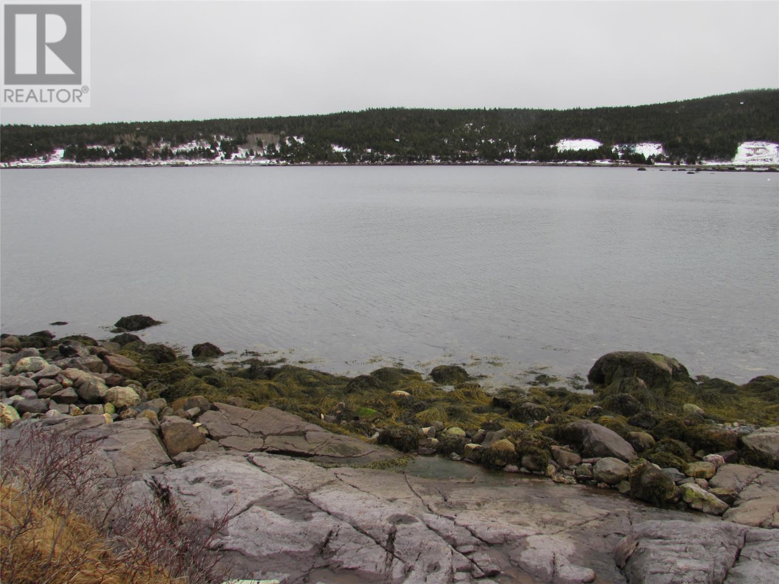 Property Photo:  43 Cove Road  NL A0A 1Y0 