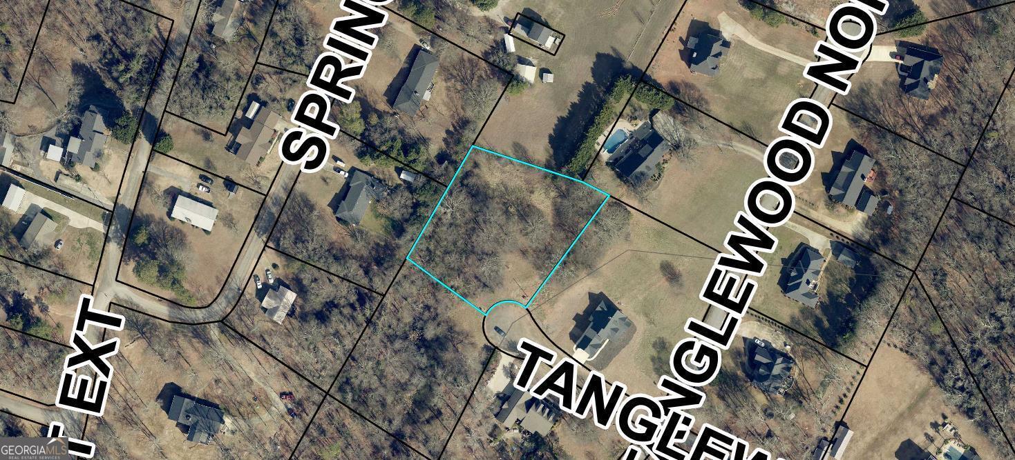 Property Photo: 0 S Tanglewood Drive GA 30662