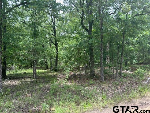 Property Photo: Tbd Vzcr 1712 TX 75140