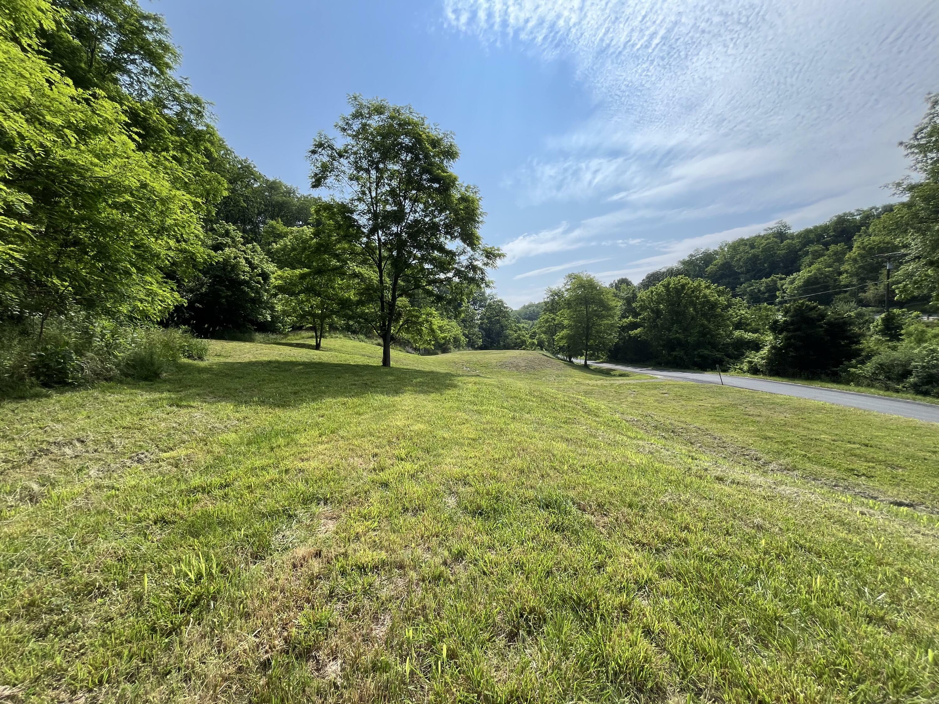 Property Photo: Cades Field WV 24983