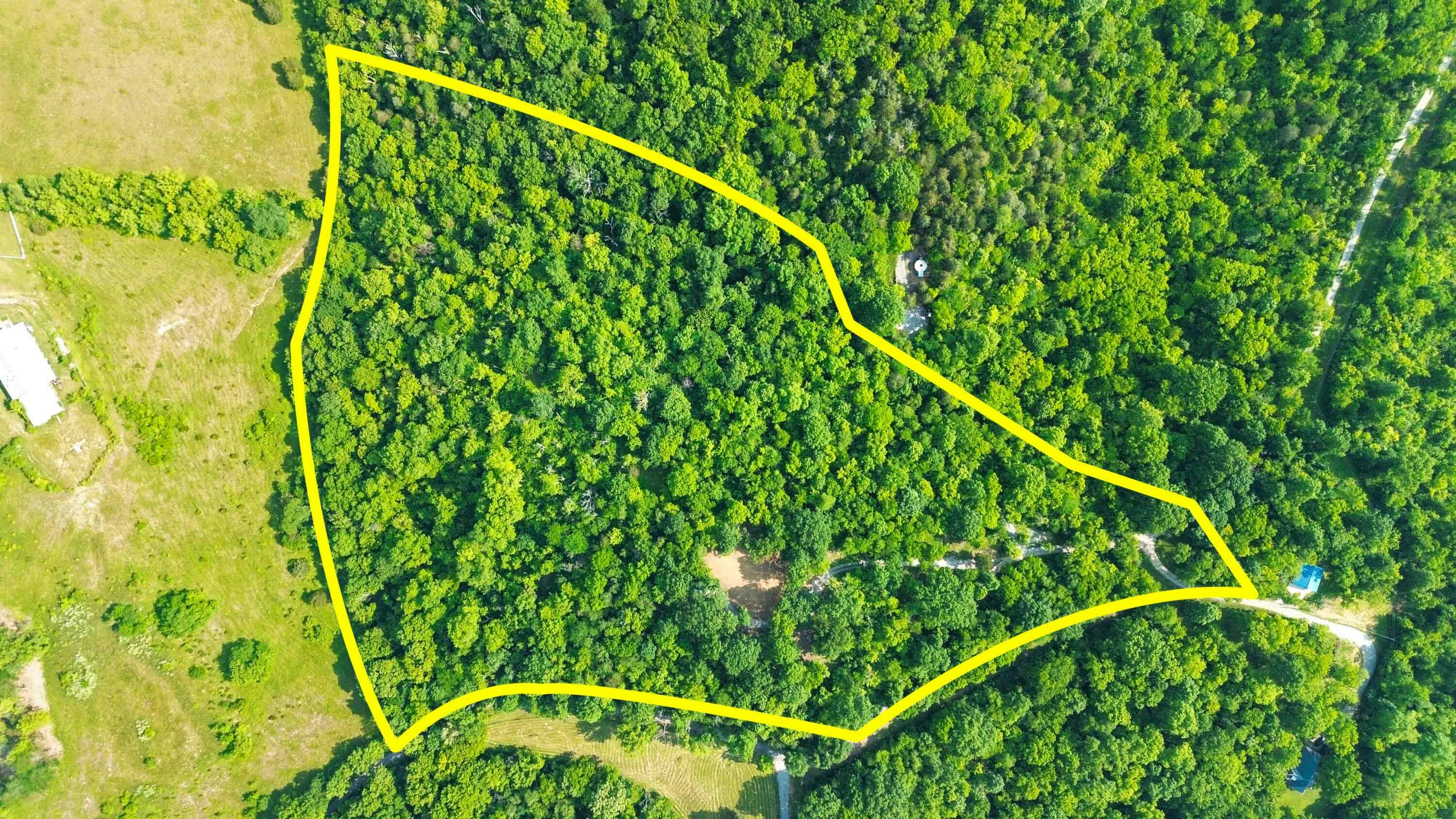 Property Photo: Tract 1-A Fort Bramlett Road KY 40356